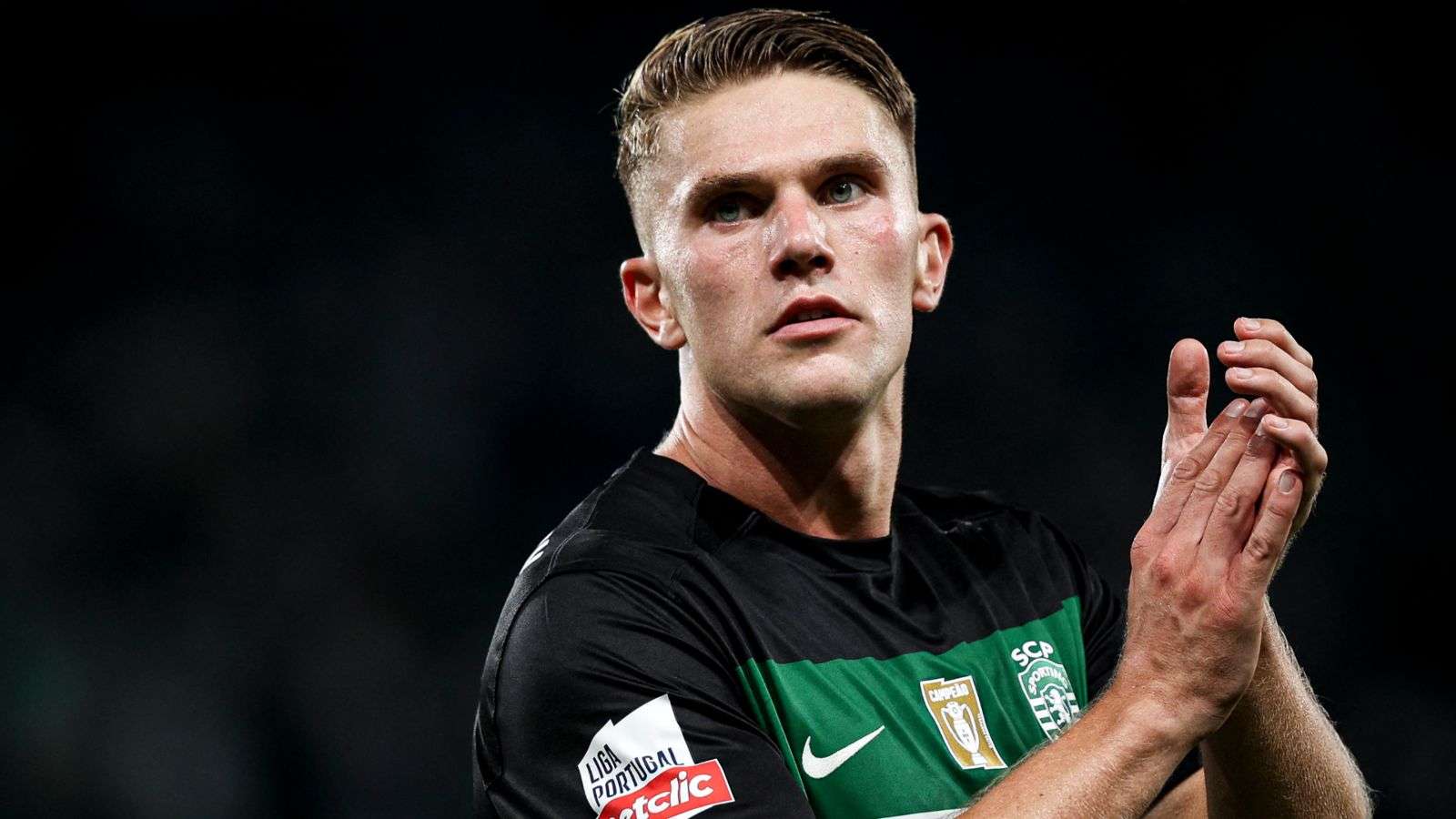 这不禁引发 这不禁引发